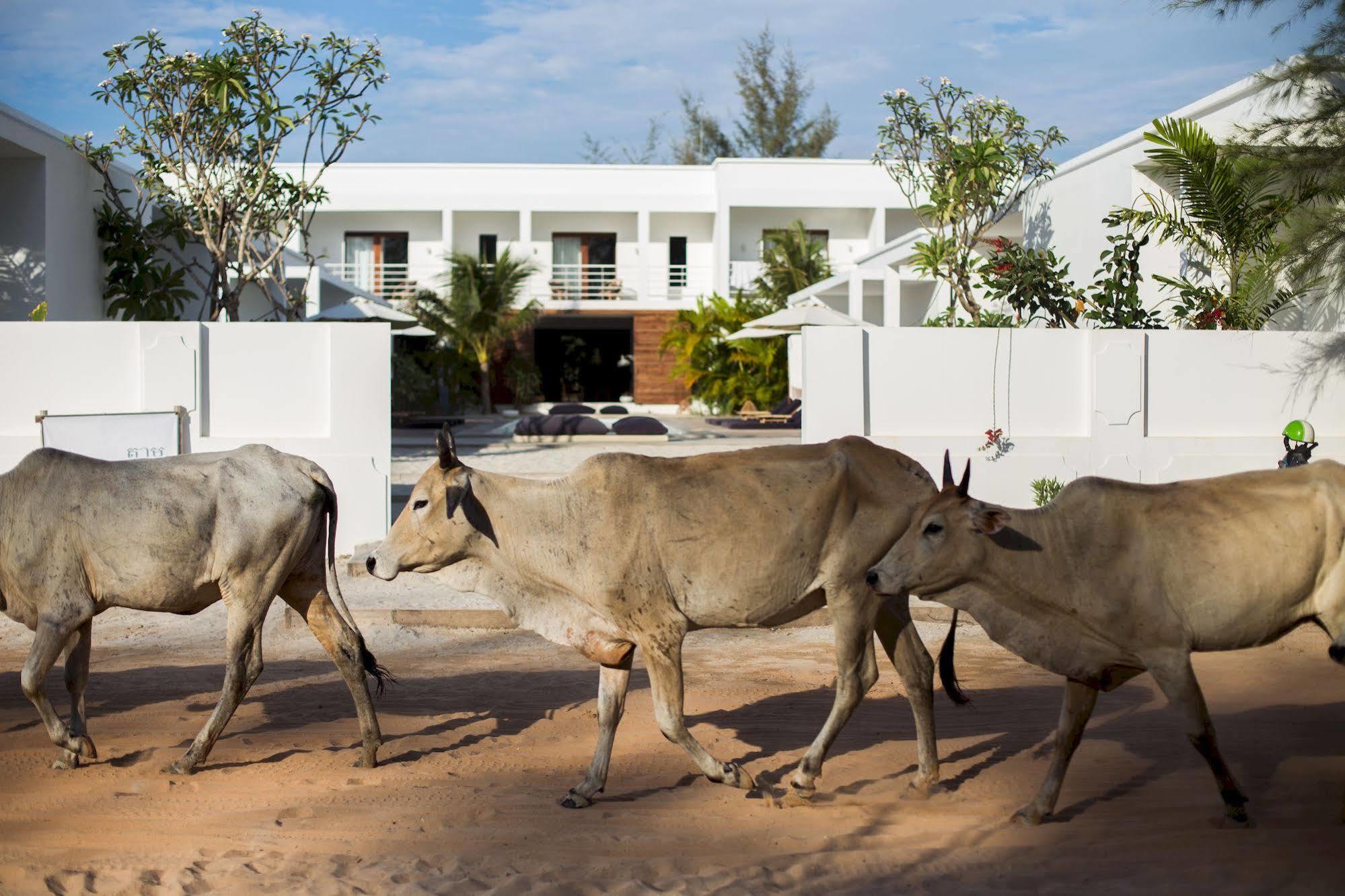 Tamu Otres Hotel Sihanoukville Luaran gambar